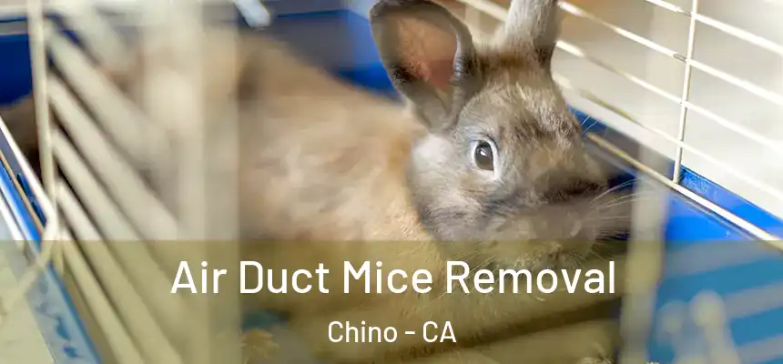 Air Duct Mice Removal Chino - CA
