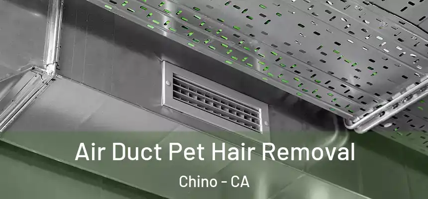 Air Duct Pet Hair Removal Chino - CA