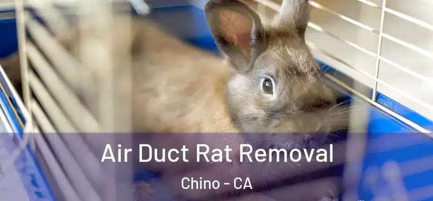  Air Duct Rat Removal Chino - CA
