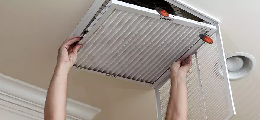 Preventive Cockroach-Proofing for Ducts in Chino