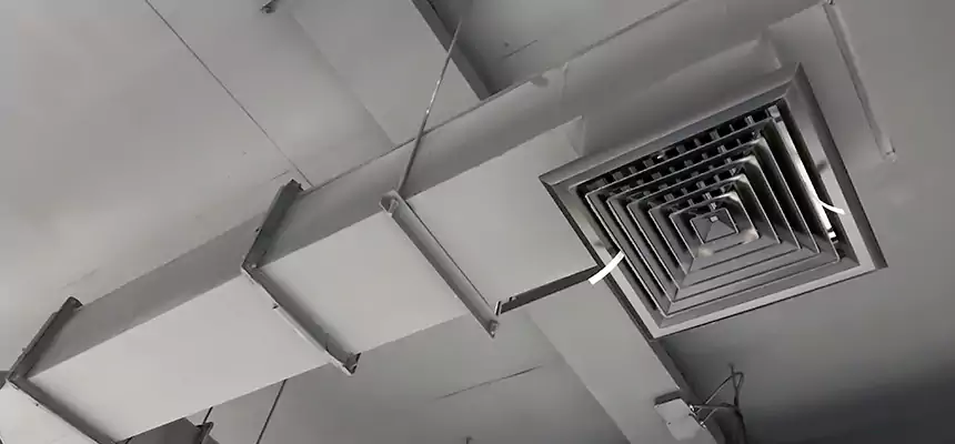 Our Rodent Droppings In Vents Services in Chino, CA