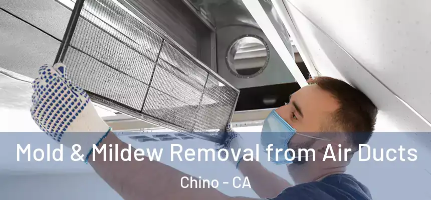 Mold & Mildew Removal from Air Ducts Chino - CA