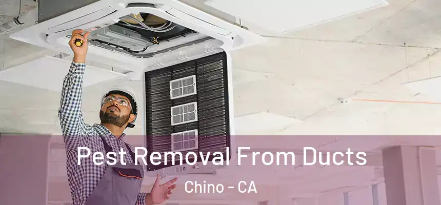 Pest Removal From Ducts Chino - CA