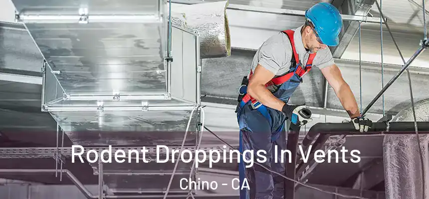 Rodent Droppings In Vents Chino - CA