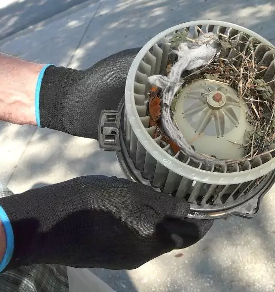 About Air Duct Mice Removal in Chino, CA