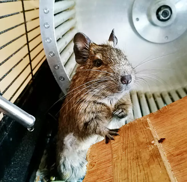 Why Homeowners & Businesses Trust Us Chino, CA