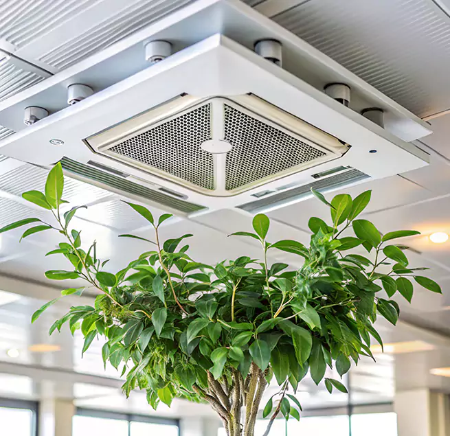 Why Homeowners & Businesses Trust Us in Chino, CA?